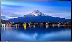 Sharp S55306074 Public Display 64.5" 4K UHD Sharp S55306074 Public Display 64.5" 4K UHD
