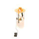 Bosch Car Fuel Pump