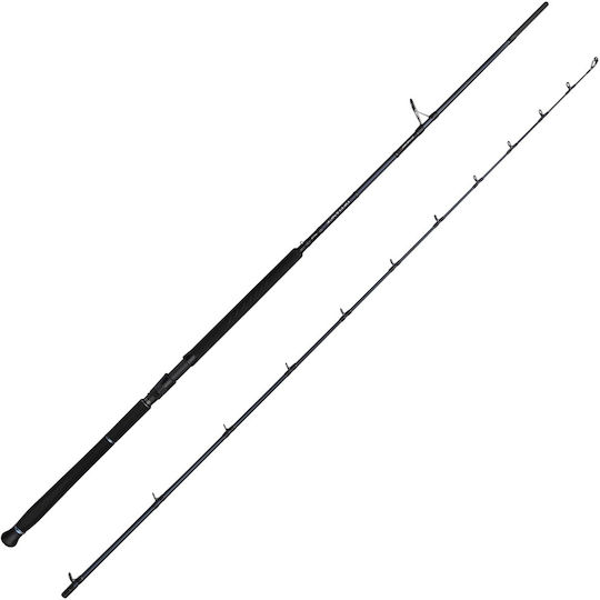 Savage Gear Καλάμι Ψαρέματος για Shore Jigging 2.9m με Μηχανισμό 50-120gr