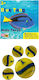 50/50 Games Μπλε Τανγκ 505901bluetang 505901bluetang 726529329001