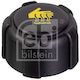 Capac Rezervor Expansiune Febi Bilstein 22085