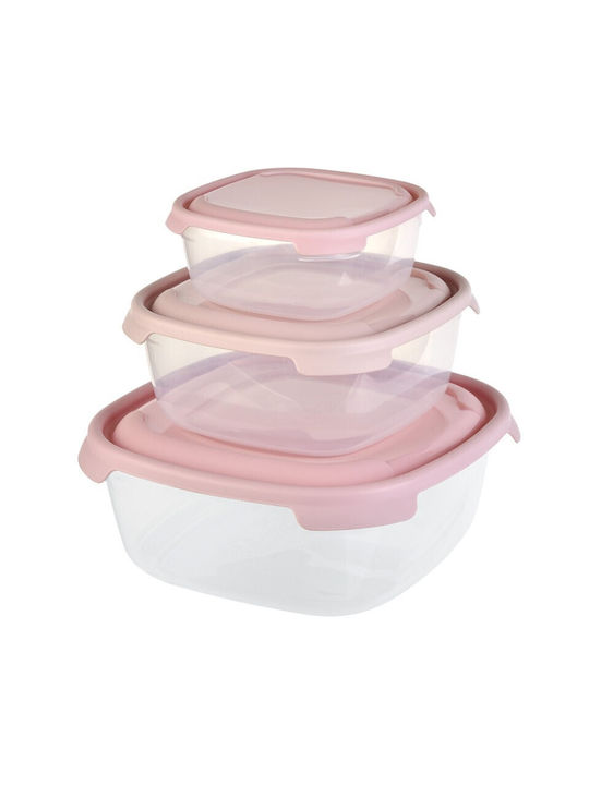 Viosarp Plastic Lunch Box 3pcs