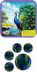 Trela Gazakia Peacock 505901peacock 505901peacock 726529329001