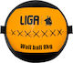 Liga Sport Ball Wall 8kg
