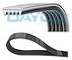 Dayco Ribbed Transmission Belt 5pk1810s