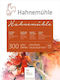 Hahnemuhle Watercolour Pads Mould-Made 10 Sheets 42x56cm 300gr Rough