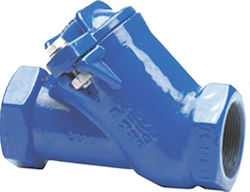 Non-return Valve Wastewater 2" Vr-ft 2 100889 Non-return Valve Wastewater 2" Vr-ft 2 100889