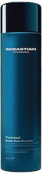 Sebastian Professional Twisted 250ml Haarspülungen Sebastian Professional Twisted 250ml Haarspülungen