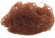 Netz Für Haargummis 4657 Hairutopia Kaffee