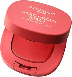 Bourjois Ρουζ #3-peach Tatin 8gr