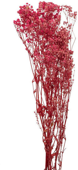 Buchet Gypsophila Roz 120g