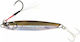 Daiwa Samurai Mini Jig 7g 13 Ph Real Aji