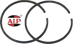 Segment Ø 42mm X 2 Mm Aip Segment Ø 42mm X 2 Mm Aip