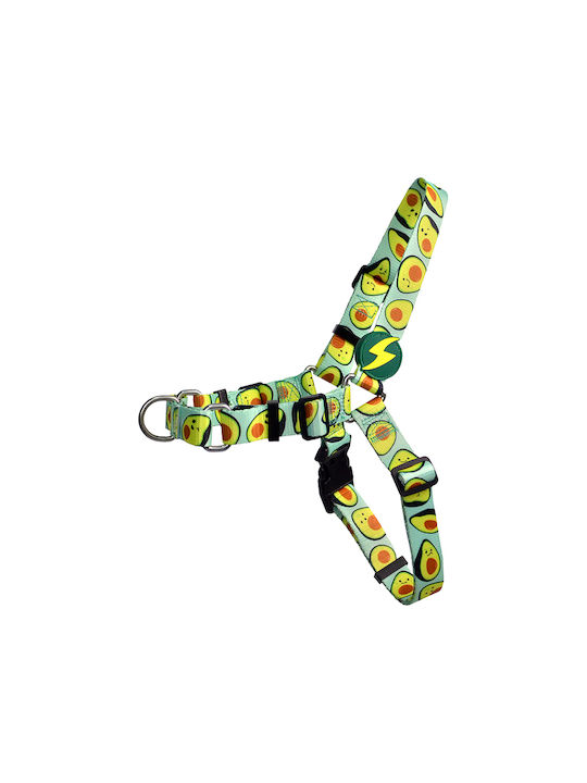Dashi Hundegeschirr Hund Front Acovado S 30-38cm