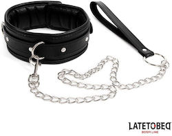 Sponge Collar Leash