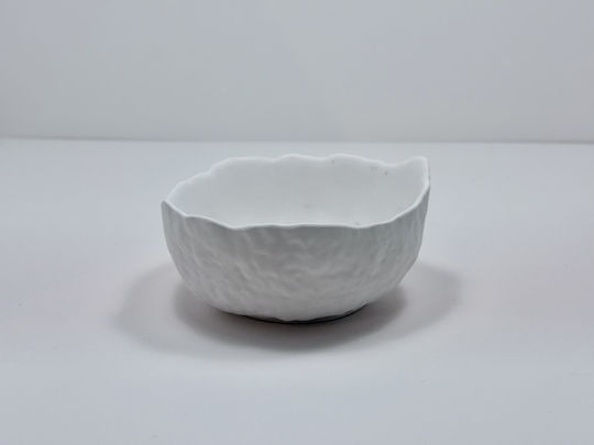 Bol Decorativ Acrilic Alb 12x12x7cm 1buc