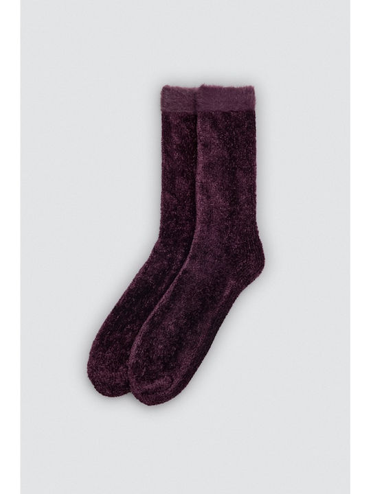 Ysabel Mora Women's Socks Plum