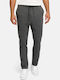 Trousers Elastic in Tapered Line Grey