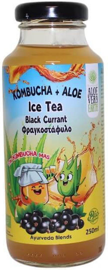 Aloe Vera Earth Kombucha 250ml