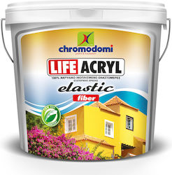 CHromodomi Life