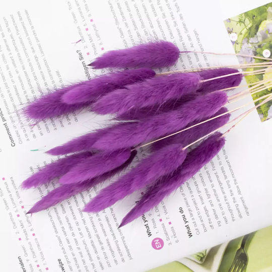 Διακοσμητικό Φτερό Bunny Tails Μωβ 60τμχ Diosera Διακοσμητικό Φτερό Bunny Tails Μωβ 60τμχ Diosera