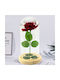 Lean Toys Lustră Decorativă Roz