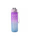 Pandaboo Sticla de apa 900ml Violet