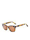 Belstaff Women's Sunglasses with Brown Plastic Frame and Brown Lens