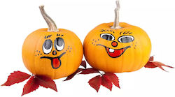 Importierte Halloween-Kürbisse (1 Stück / 2 kg) Importierte Halloween-Kürbisse (1 Stück / 2 kg)