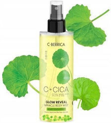 Natura Siberica Cica C-berrica Mist 200ml