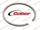 Chainsaw Parts Segment 46mm x 1.5mm Caber Italia