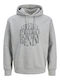 Sweatshirt mit Kapuze Gray