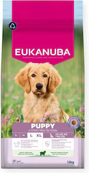 Eukanuba 12kg