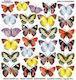 Gedrucktes Reispapier Sospeso Sts3.14 Little Butterfly
