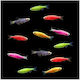 Danio Neon Mix 3-4cm
