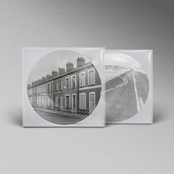 Manic Street Preachers Critical Thinking Lp Picture Vinyl