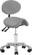 Salon Tech Medical Stool with Backrest Gray 124579