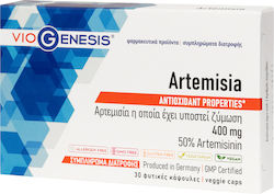 Viogenesis Artemisia 400mg 30 Capsule Pe Bază De Plante 1 Capsulă Viogenesis Artemisia 400mg 30 Capsule Pe Bază De Plante 1 Capsulă