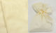 Ecru Pouch 12.5cm X 17cm Genuine Velvet Embossed Leaf Designs 0527353 12 Pieces