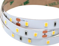 Ταινία LED Φυσικό Λευκό Ταινία LED Φυσικό Λευκό