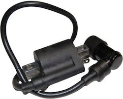 Induktionsspule Scooter 2t Yamaha Minarelli Atv