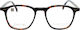 Alexander Wintsch Brown Tortoise Super G 5001