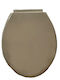 MRShome Plastic Soft Close Toilet Seat Gray 38.2cm