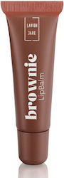 Lavish Care Lip Balm 10ml Lavish Care Lip Balm 10ml