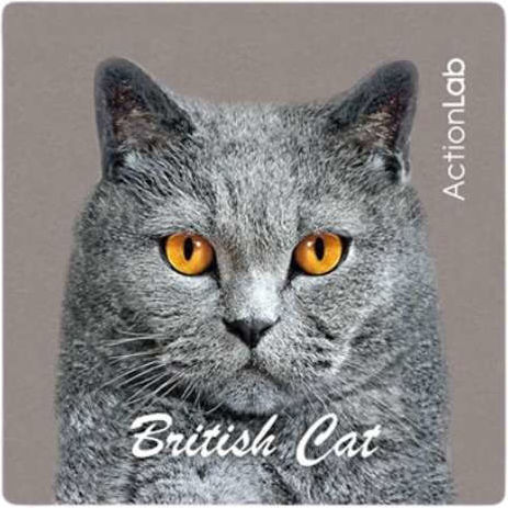 Μαγνητάκι Ψυγείου Action Lab British Cat