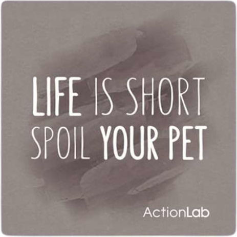 Μαγνητάκι Ψυγείου Action Lab "life Is Short Spoil Your Pet"