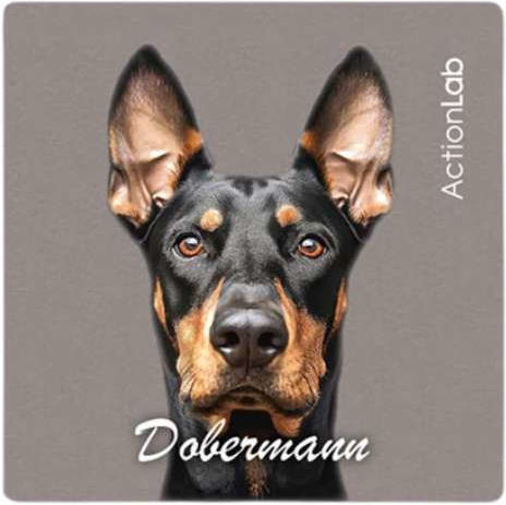 Μαγνητάκι Ψυγείου Action Lab Dobermann