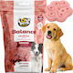 Hobby Kekse Hund mit Weizen, Lachs und Ei 350gr