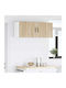 Bej 50x31x40buc