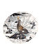 Windproof Compact Multicolour Umbrella Umbrellas